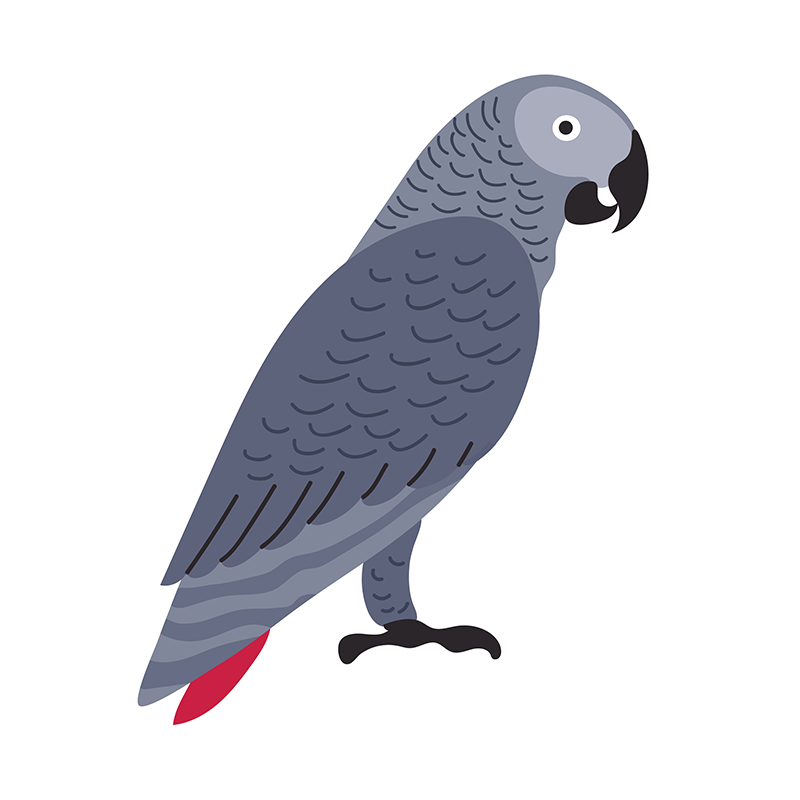 GreyParrot.sol