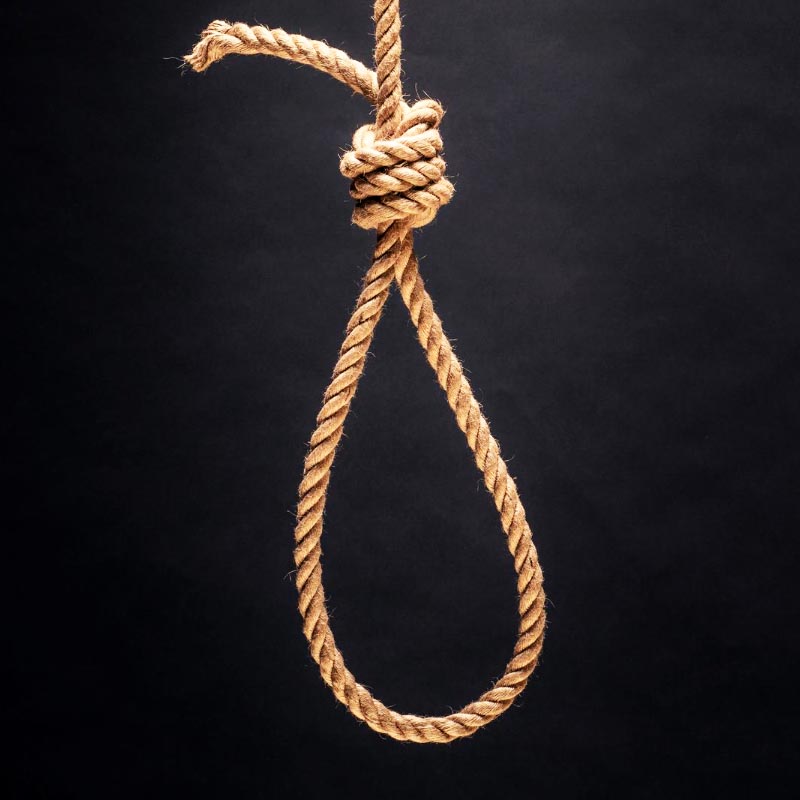 Lasso.jp